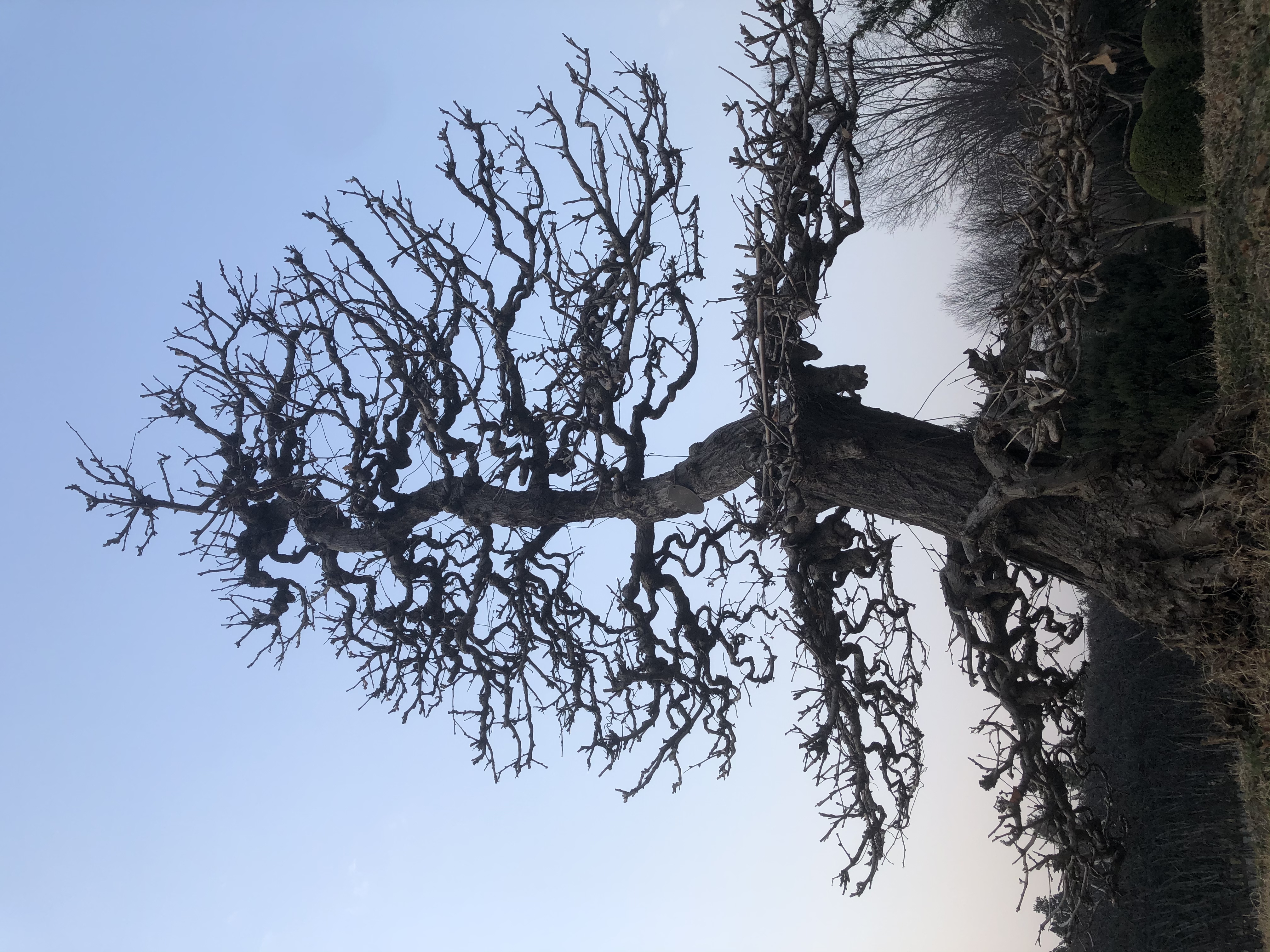 品味非遗：光影之间的微缩世界