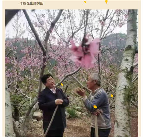 64e78b9688a89.png 我11.png