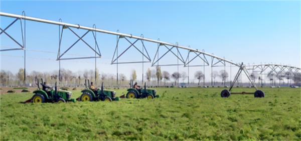 6566edd51e165.png 南11111111111111111.png