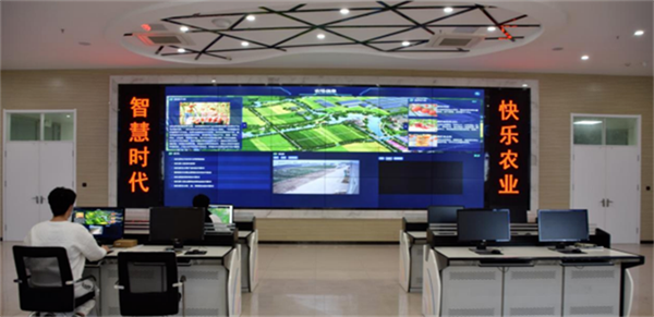 6566edf69a875.png 南33333333333333.png