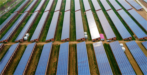 6566ee0605633.png 南44444444444444444.png