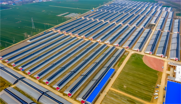 6566ee1fc417b.png 南5555555555555555555.png