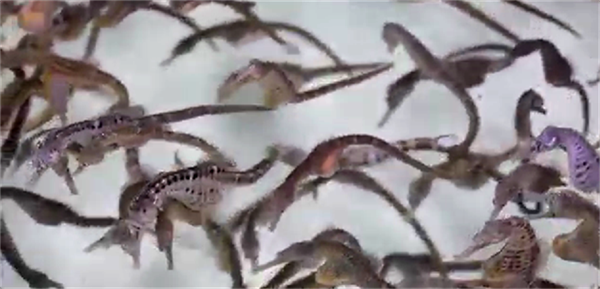 659fcdb200c21.png 号码111111111图片.png