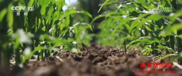 19.4亿亩、1.75亿吨、7358万吨