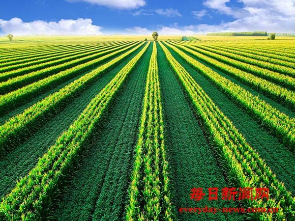 让黑土地变成金土地