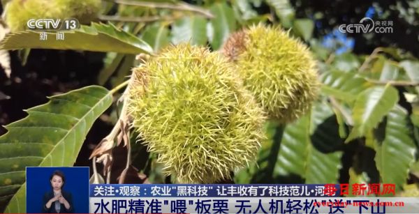 千里沃野有了“科技范儿” 各式各样的农业