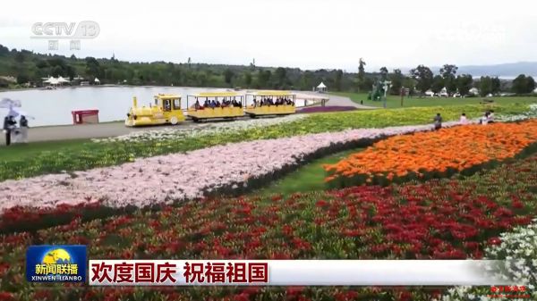 欢度国庆 祝福祖国