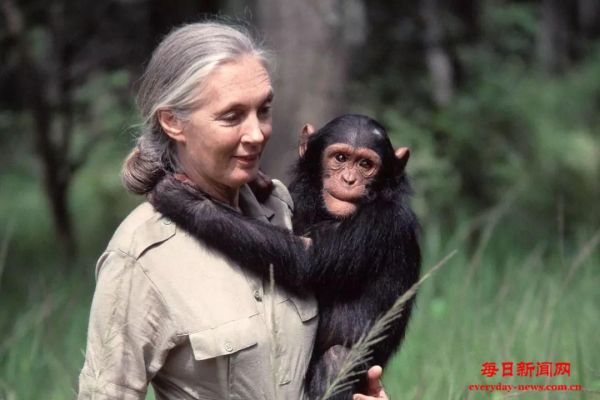 著名灵长类动物学家珍·古道尔去世 终年9