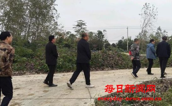 河南省淮滨县王店乡|农业社会化服务让秋收