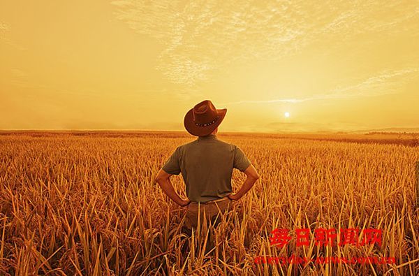 是谁在弹拨我权益背后的琴弦