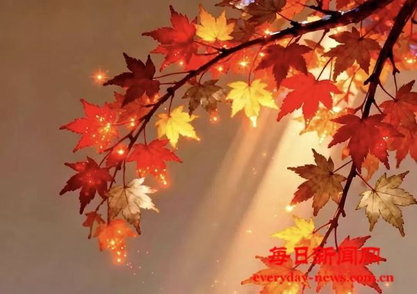 汉画像石：镌刻着民族基因的“汉代印记”